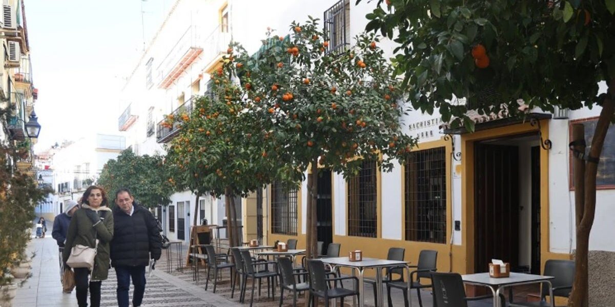 Salud aclara que las «deficiencias graves» en la intoxicación con montaditos de pringá en Córdoba «se asocian al proceso seguido y la higiene»