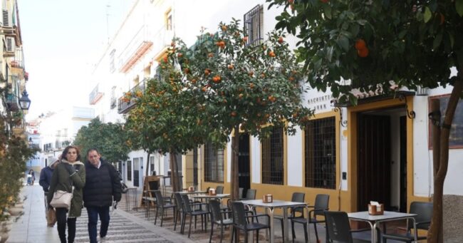 Salud aclara que las «deficiencias graves» en la intoxicación con montaditos de pringá en Córdoba «se asocian al proceso seguido y la higiene»