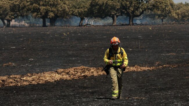 Trabajo requiere a la Junta evaluar los riesgos para la salud del operativo antiincendios | El Norte de Castilla