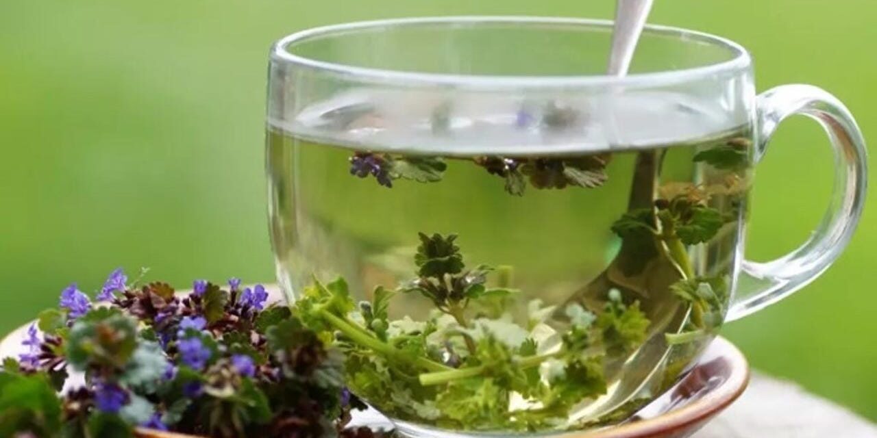 soy-cardiologo-y-estas-son-las-infusiones-y-especias-que-no-debes-tomar-con-medicamentos Soy cardiólogo y estas son las infusiones y especias que no debes tomar con medicamentos