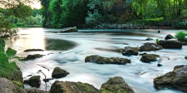 el-futuro-del-termalismo-y-sus-beneficios-para-la-salud-real-academia-europea-de-doctores El futuro del termalismo y sus beneficios para la salud - Real Academia Europea de Doctores