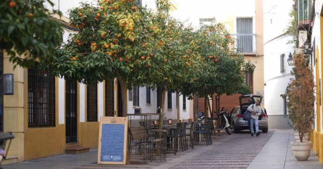 Salud considera "graves" las deficiencias en la taberna que sirvió los montaditos de pringá