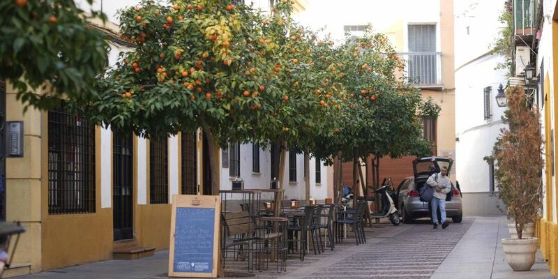 salud-considera-graves-las-deficiencias-en-la-taberna-que-sirvio-los-montaditos-de-pringa Salud considera "graves" las deficiencias en la taberna que sirvió los montaditos de pringá